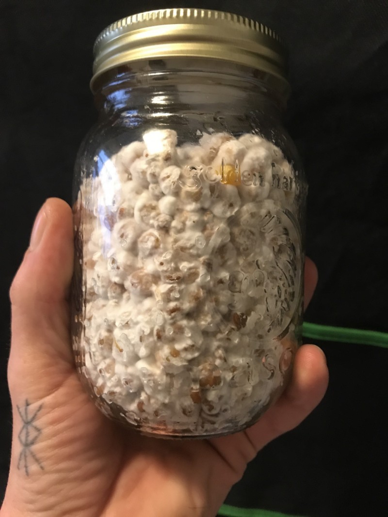 99ACF2AF-FAC9-4E96-8993-8D8400831685