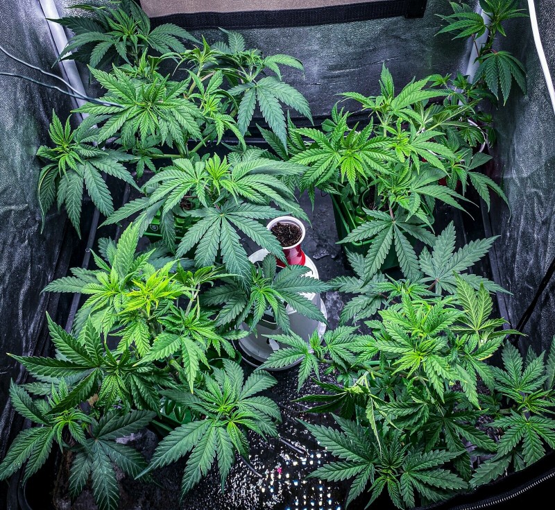 845135C8-44A7-4F70-889A-859507B68179