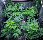 845135C8-44A7-4F70-889A-859507B68179