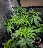 2C27A62E-42F9-4257-A873-92D32EE5B075