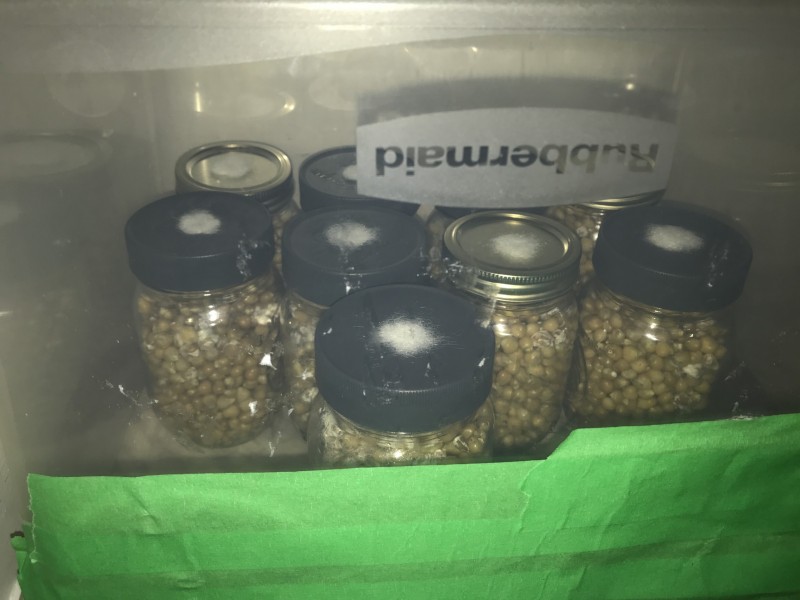 0C8AE3BB-5176-4D1C-A133-79BF0708A3D8