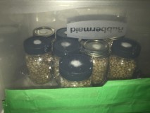 0C8AE3BB-5176-4D1C-A133-79BF0708A3D8