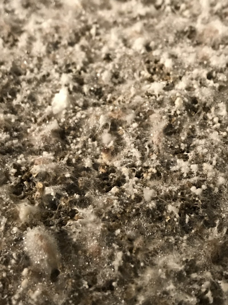 BFDF0A82-0255-4E2C-9349-91FFC278CAE5