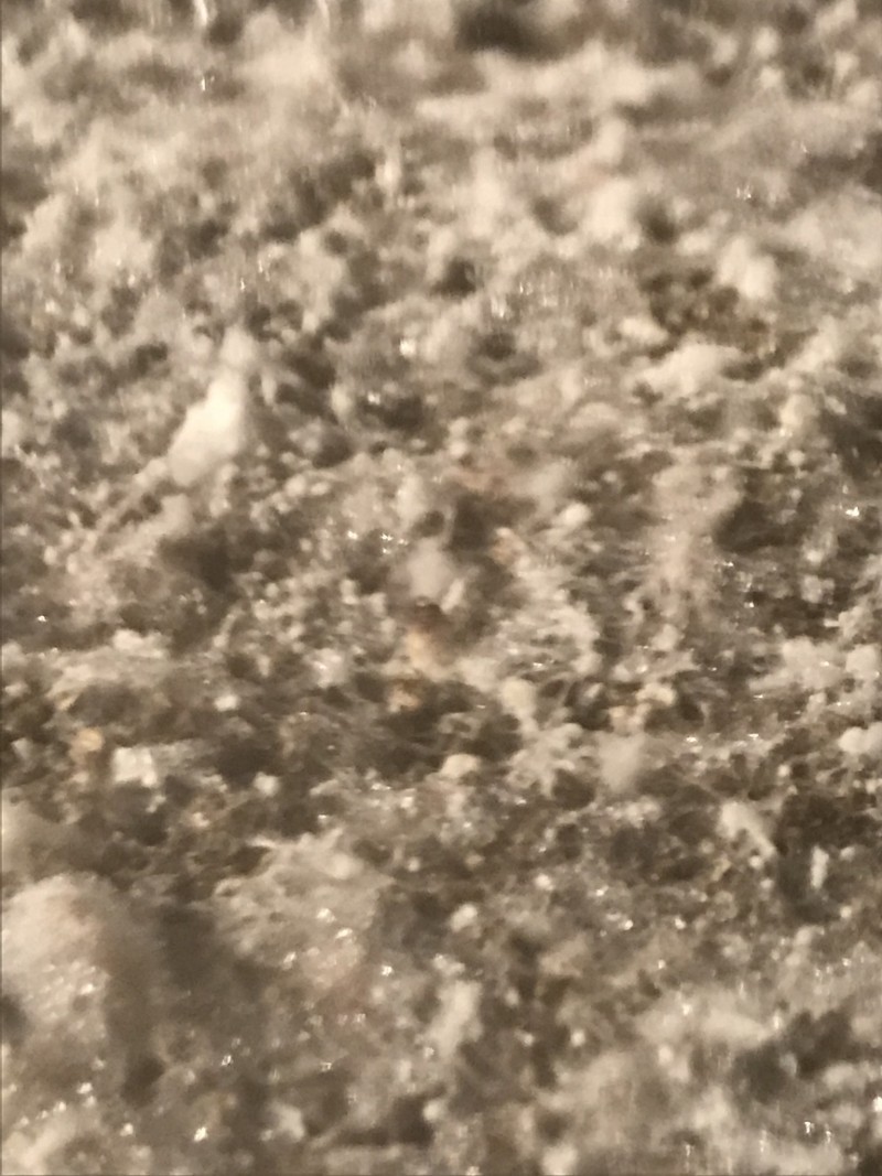 A876C61B-848B-4D4D-B4C1-0897D232B550