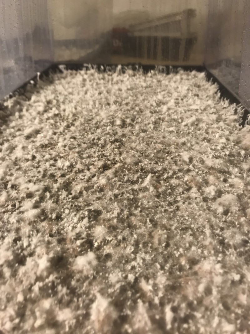 5BD469FB-A5D5-492A-A219-B3EC86E1069B