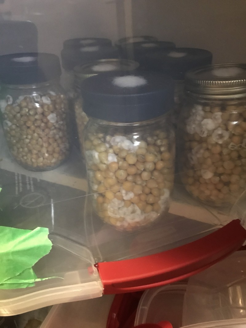 F77A9201-C26D-44C9-B4E4-F93F0E5C9BC5