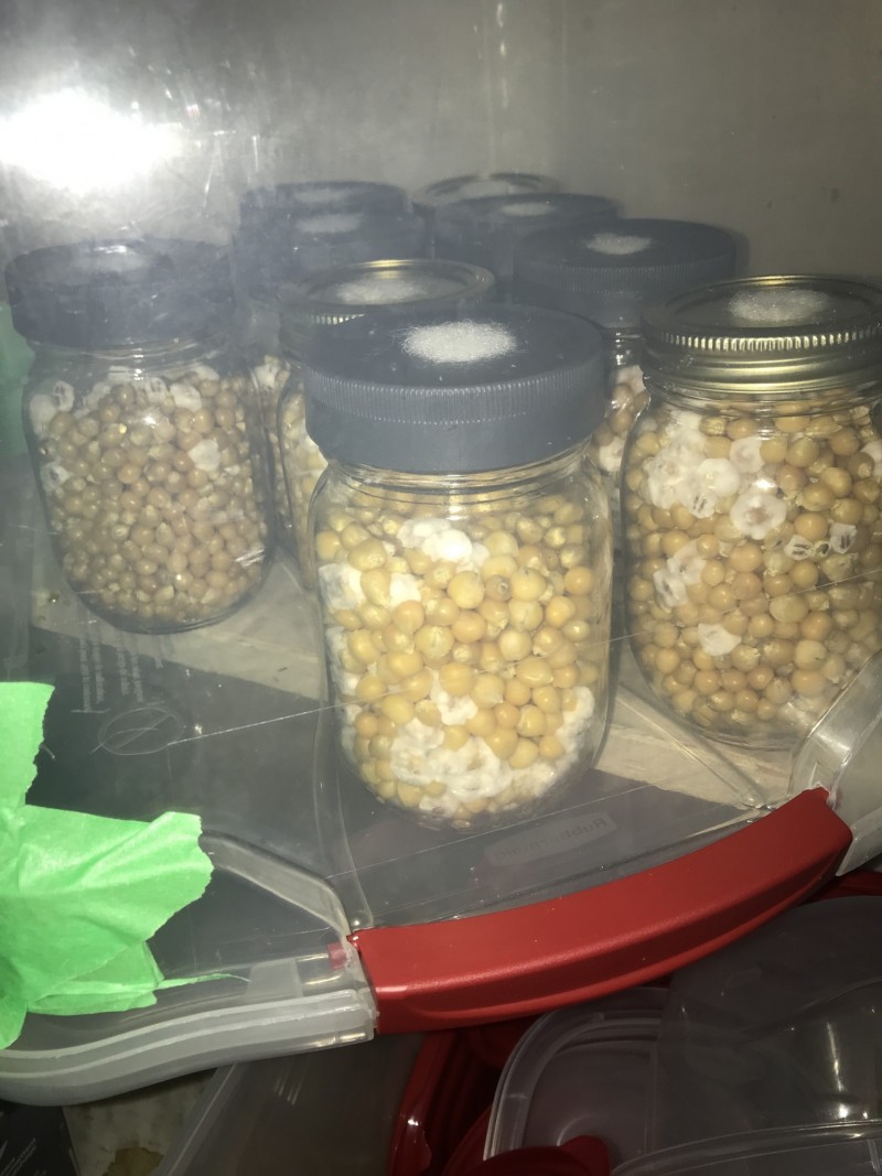 97A33893-9F4C-4719-8231-6C6E160BA4FD