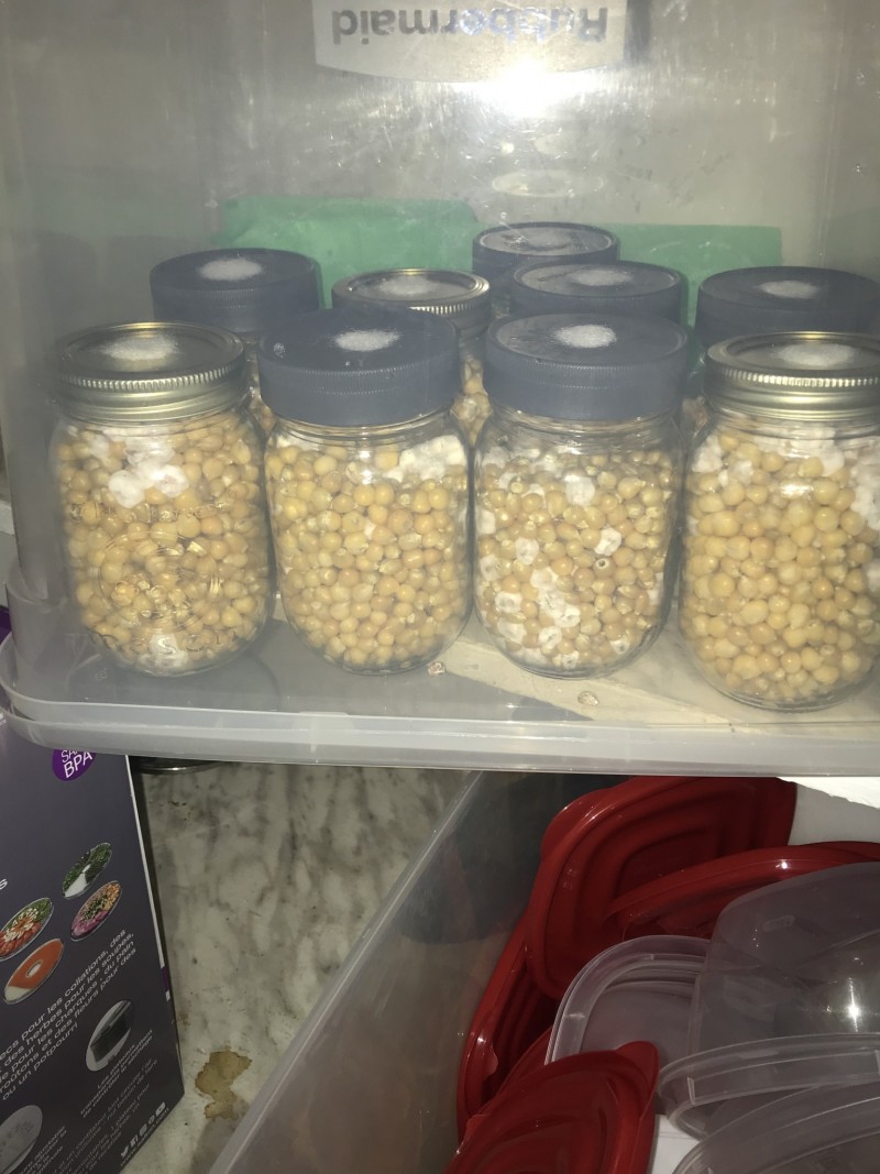 78B32108-48C0-4336-B826-1CF500B22B3A