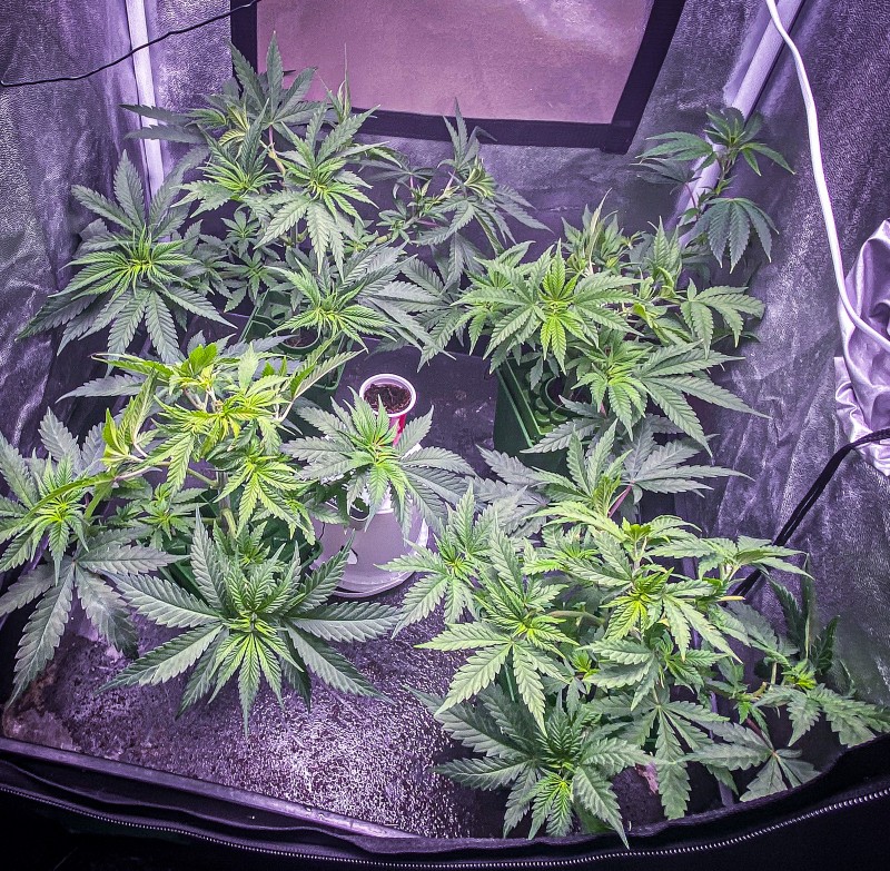 D4DE5DD9-FCDF-4882-8427-9247A8908BEB