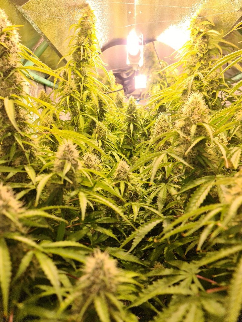 20211112_224232_compress79