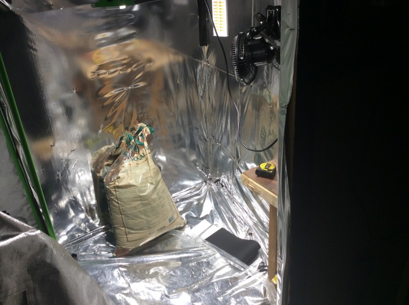 919EA9D2-1BC7-440D-B4B6-2DE64BE1DF19