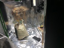 919EA9D2-1BC7-440D-B4B6-2DE64BE1DF19