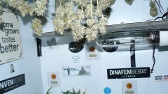 new start,harvest etc 14 11 21 031