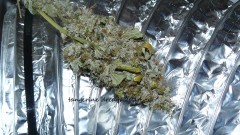 new start,harvest etc 14 11 21 036