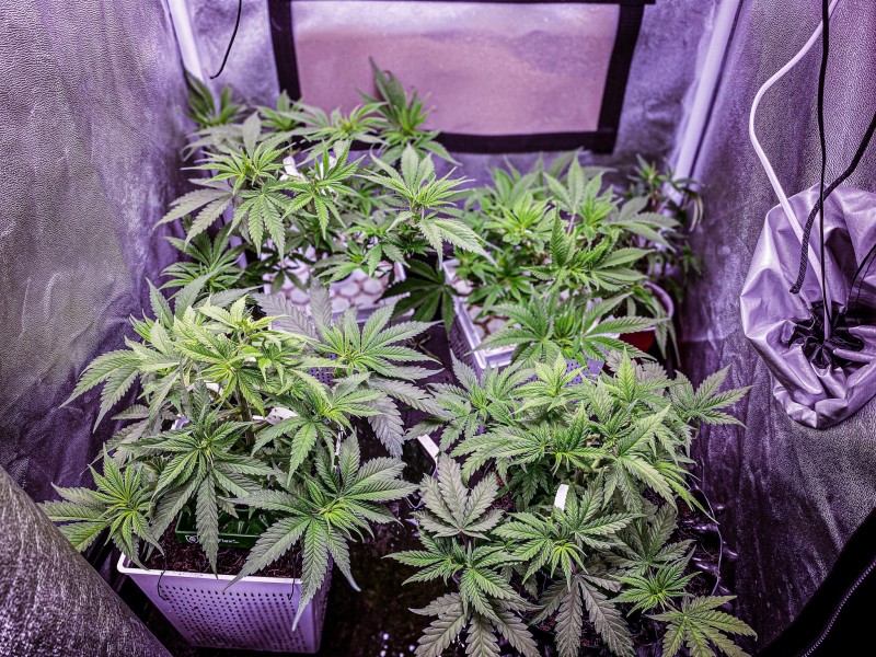 CBBDF895-271F-41E2-9F3C-00CE09DA2A96