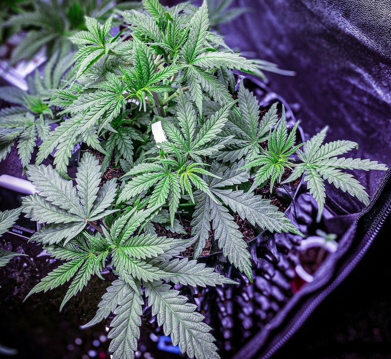 C5B6F7E2-8636-44BE-811D-56E288076FF2