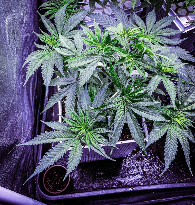 7E73FDBA-75E3-4E84-9B0E-38562896CD87