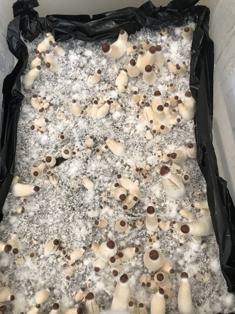 E24EAF4E-20F6-4FAB-978A-D78EA0E228D0