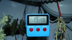 vk harvest part 1 024