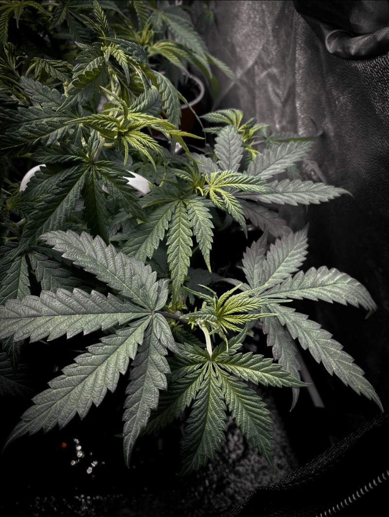 FC65F1EF-0685-4033-A1E5-3301F27AD6FC