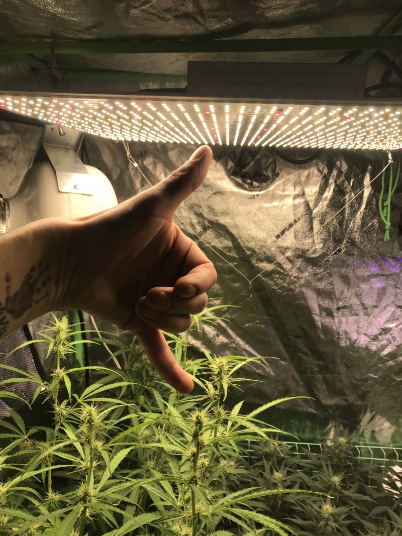 74DEE5CC-4FB4-4C4C-9F6D-80E2222D2E8D