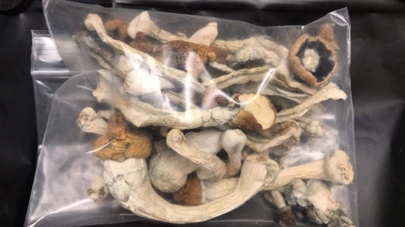 033ED7D8-9A9D-4778-BE06-BED9AA825267