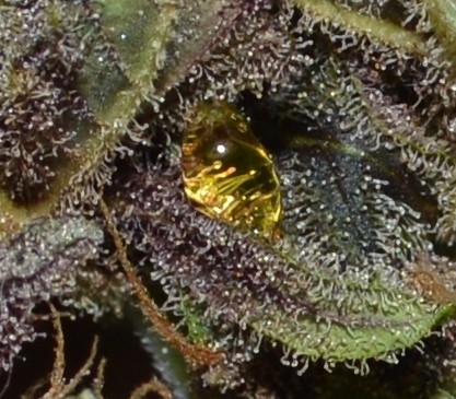 purpmoonrockz resin some more (1)