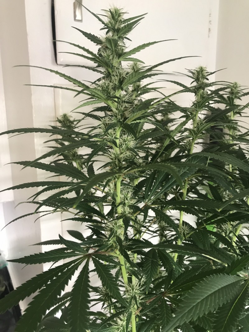 1D04FC85-823A-4CC7-815A-4C41B2E2D009