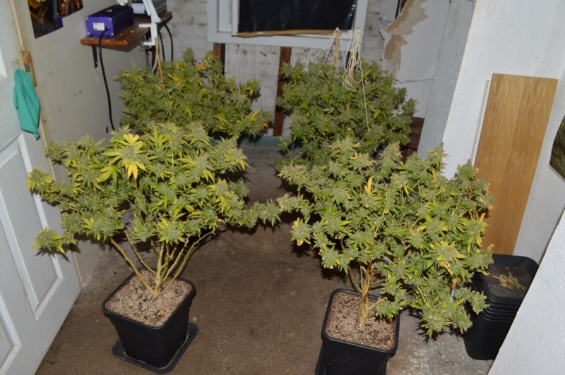 2nd half harvest 14 (1) (1024x681)