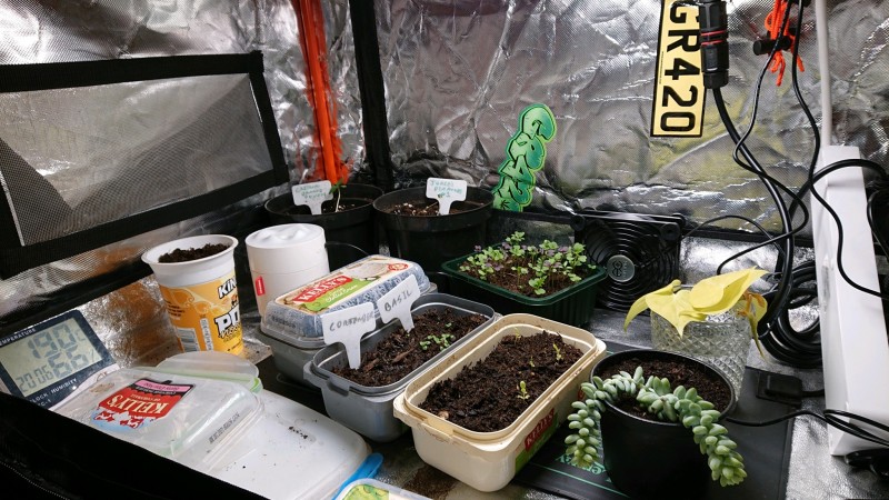 obscura1637176089937