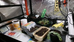 obscura1637176089937