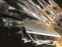 6DE7538D-9CC5-4389-8F83-596B5ADC3F4F