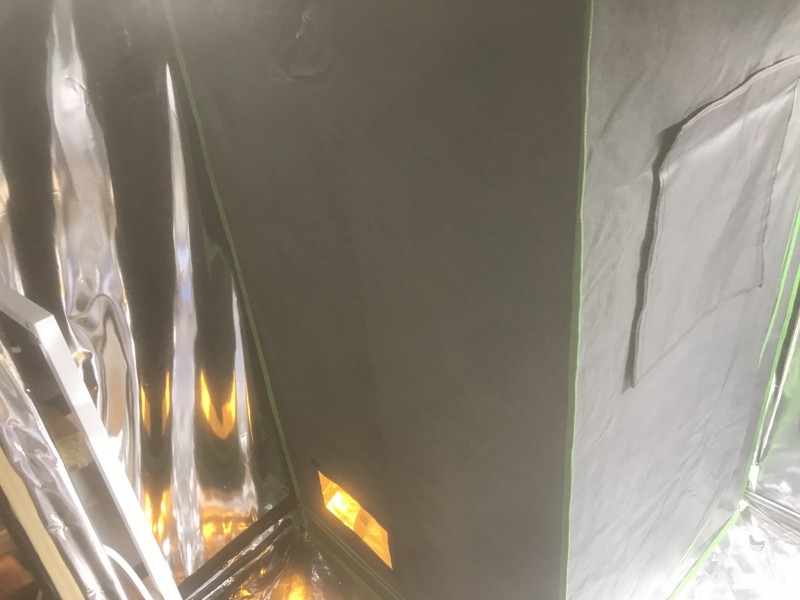 CAA0B132-70EA-4D70-9F3B-EF50336BCD52