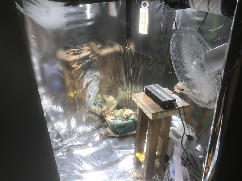 B66CC2DE-0857-4529-B9D6-85B76F71B80E