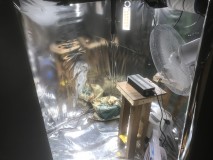 B66CC2DE-0857-4529-B9D6-85B76F71B80E