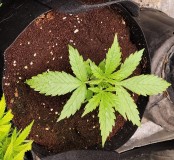 Screenshot_20211117-102202_Photos