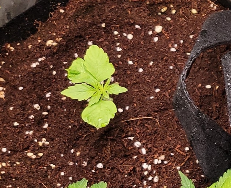 Screenshot_20211117-102110_Photos