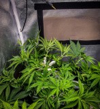 5D10EBED-F8D6-4BA3-A773-C0F24EEF4F77