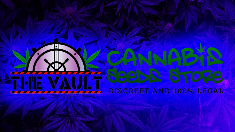 mn the vault  uv love