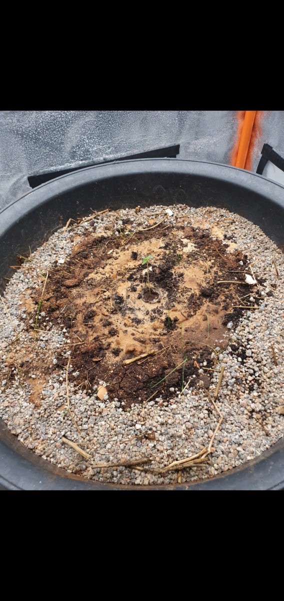 Screenshot_20211120-102114_Gallery