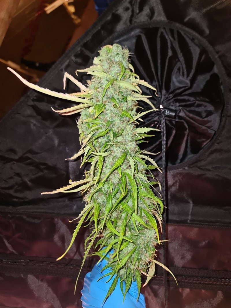 20211120_212742_compress17