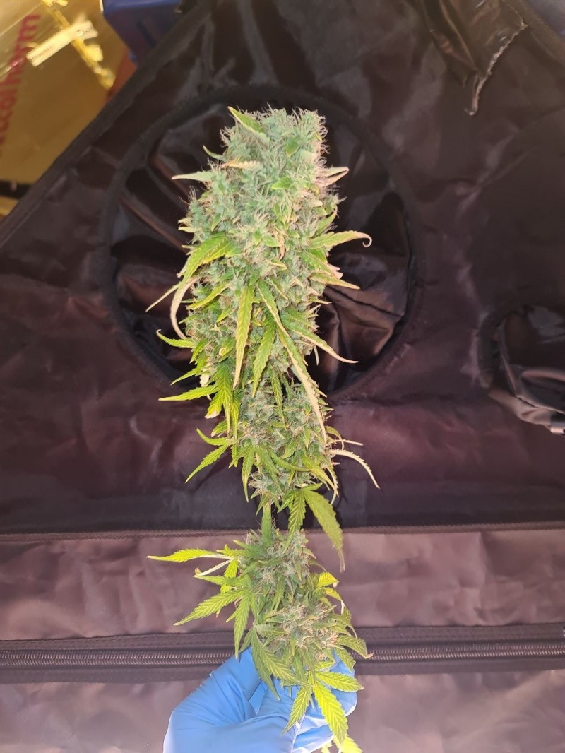 20211120_214752_compress62