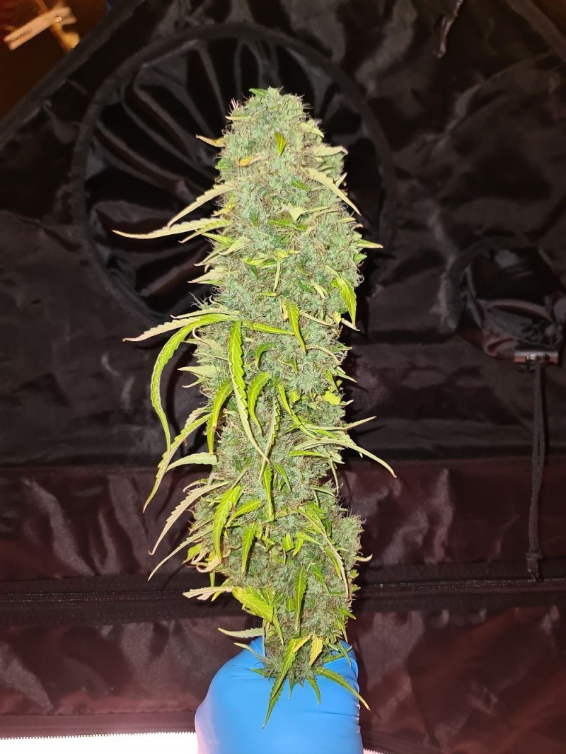 20211120_220612_compress19