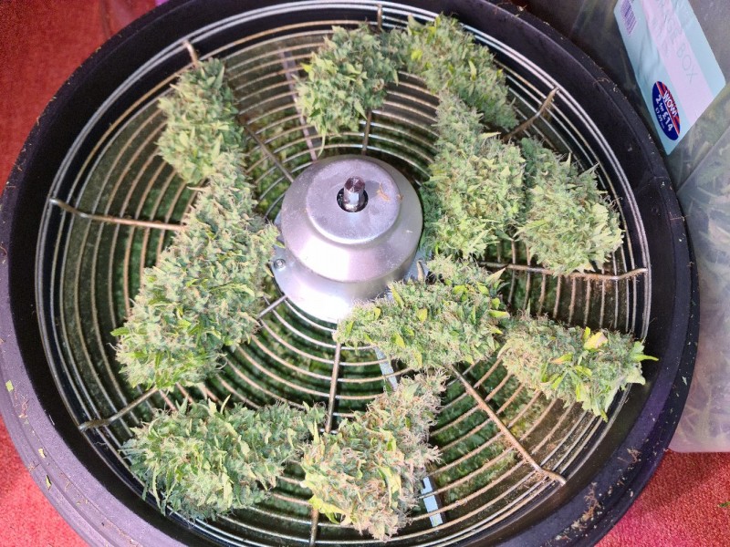 20211120_225541_compress20