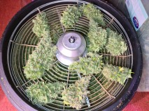 20211120_225541_compress20