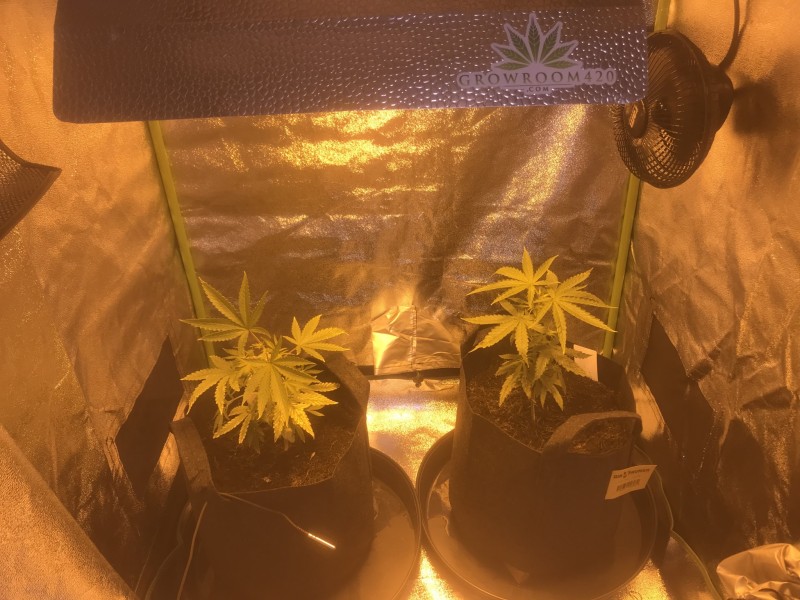 4BE9780F-9F13-46C7-974B-728014B874A4