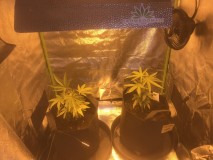 4BE9780F-9F13-46C7-974B-728014B874A4