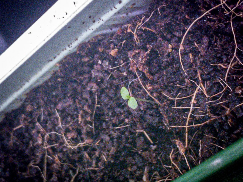 857A3FC5-0064-4D30-ACC7-F72C6114C43C