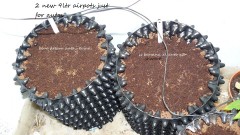 bigger drobe 23 11 21 005