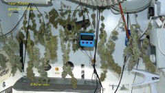 bigger drobe 23 11 21 021